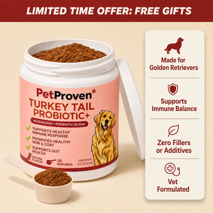 Turkey Tail Probiotic+