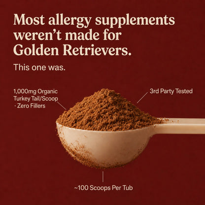Turkey Tail Probiotic+