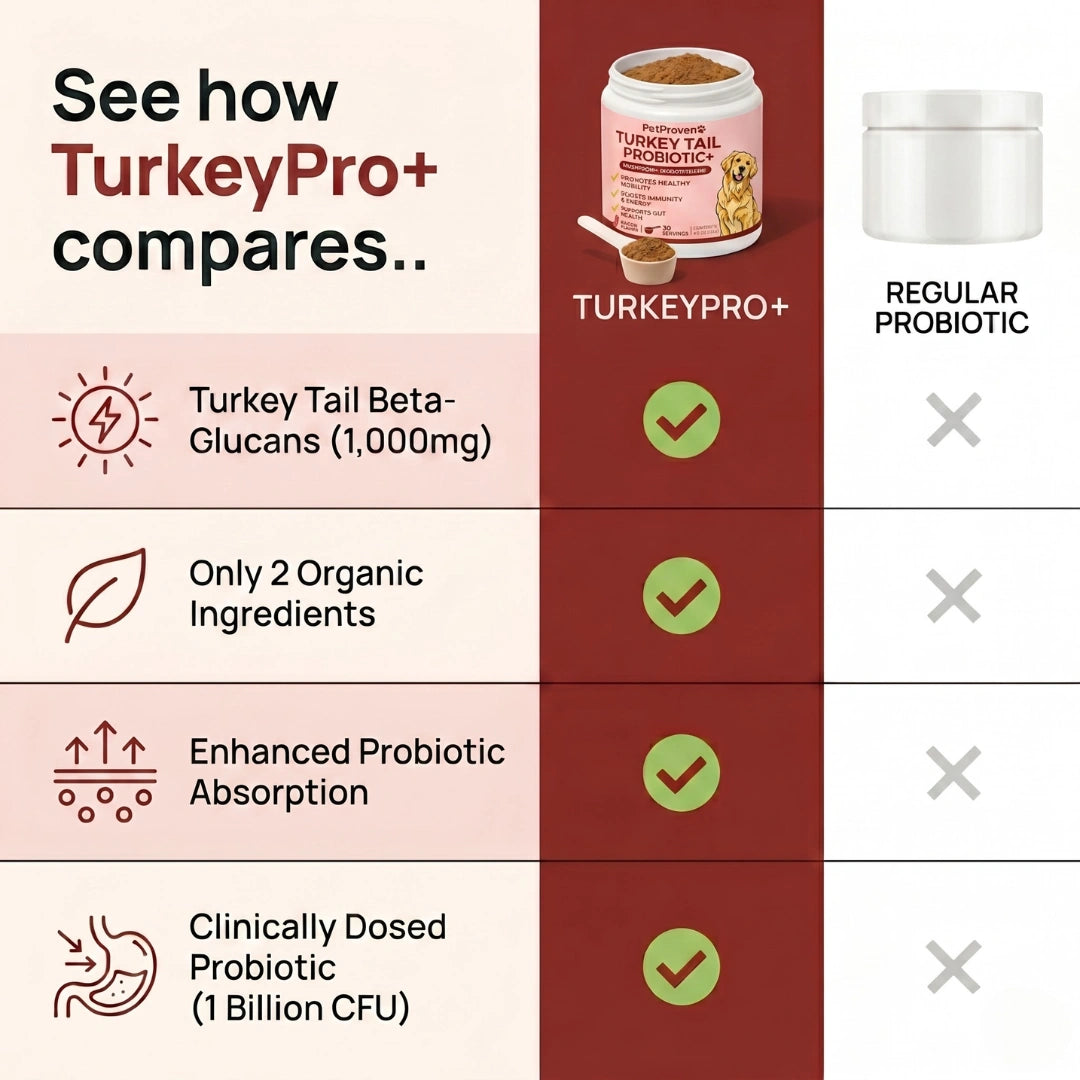 TurkeyPro+