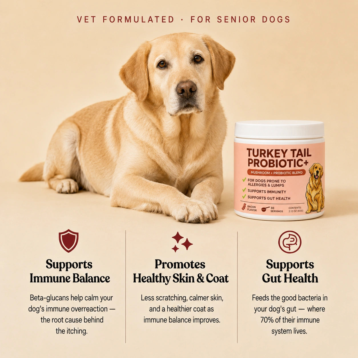 Turkey Tail Probiotic+