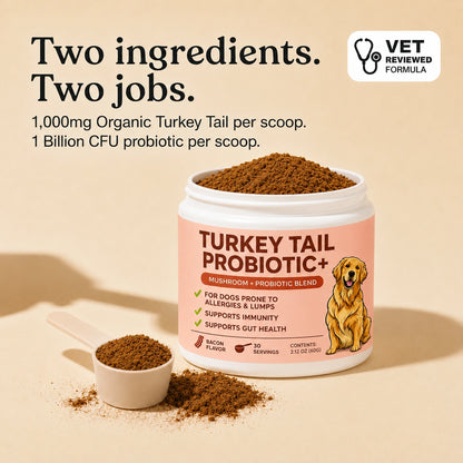 Turkey Tail Probiotic+