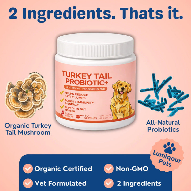 In Stock with Free Shipping 113g Pet Turkey Tail Mushroom Powder Turkey Amazon Tk Cross-Border Hot-Selling Factory Wholesale