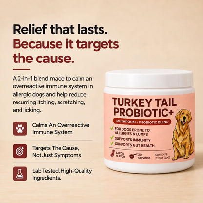 Turkey Tail Probiotic+
