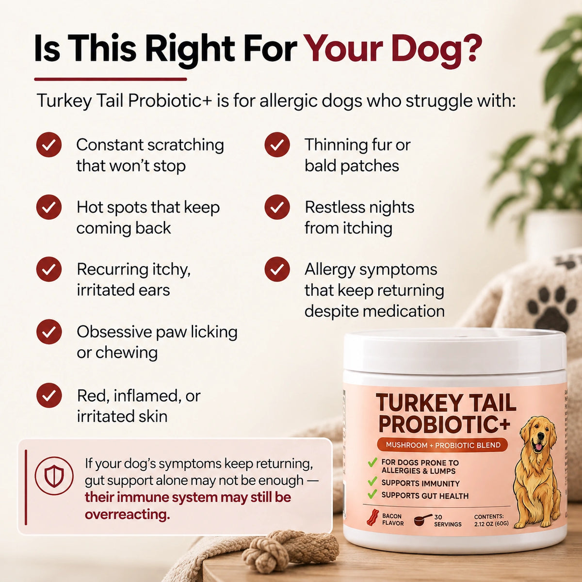 Turkey Tail Probiotic+
