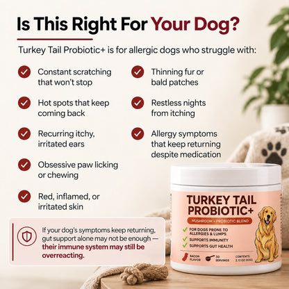 Turkey Tail Probiotic+