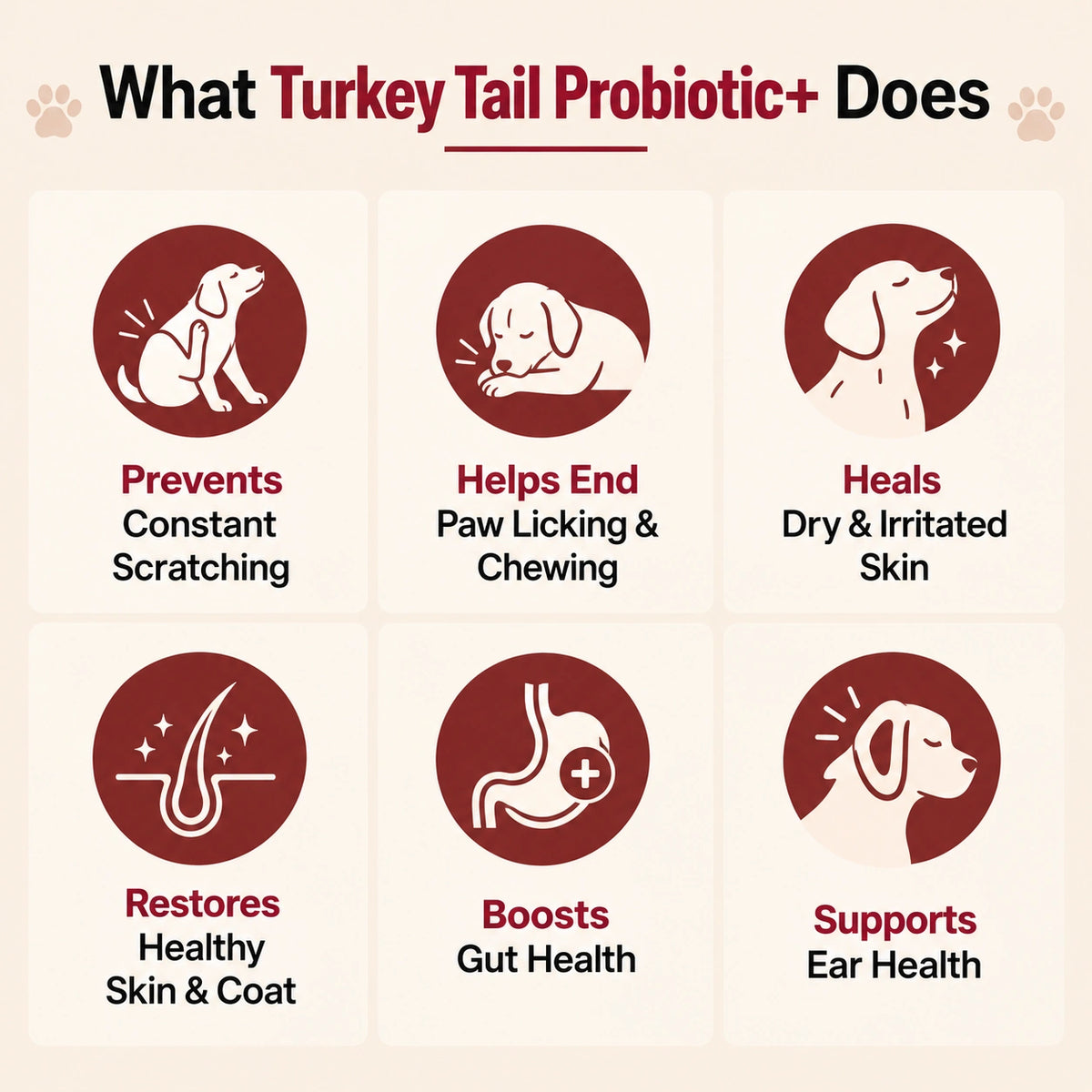 Turkey Tail Probiotic+